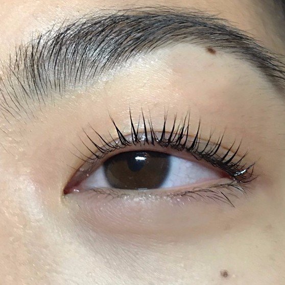 What-Lash-Lift-Eyelash-Perm-Before--After-Photos